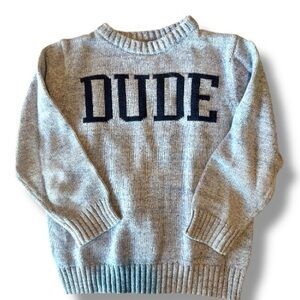 Gymboree Boys Sweater Size 6 Gray DUDE Knit Pullover Cute Casual